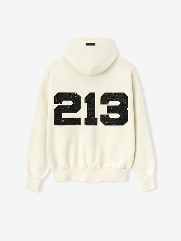 213 Chapter Hoodie