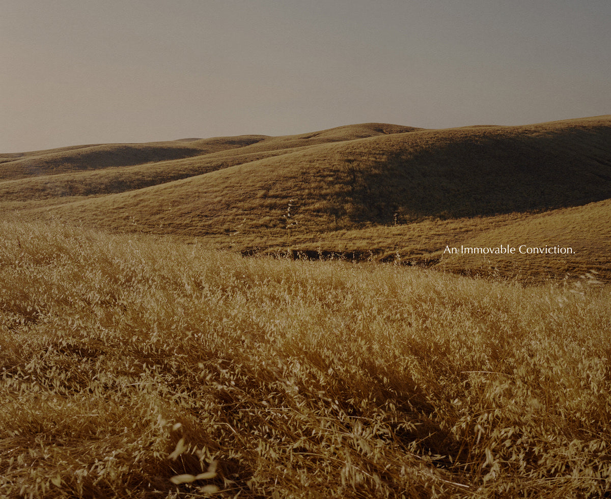 Warm toned landscape of rolling hills covered in tall dry grass beneath a muted sky with the words An Immovable Conviction overlaid near the center