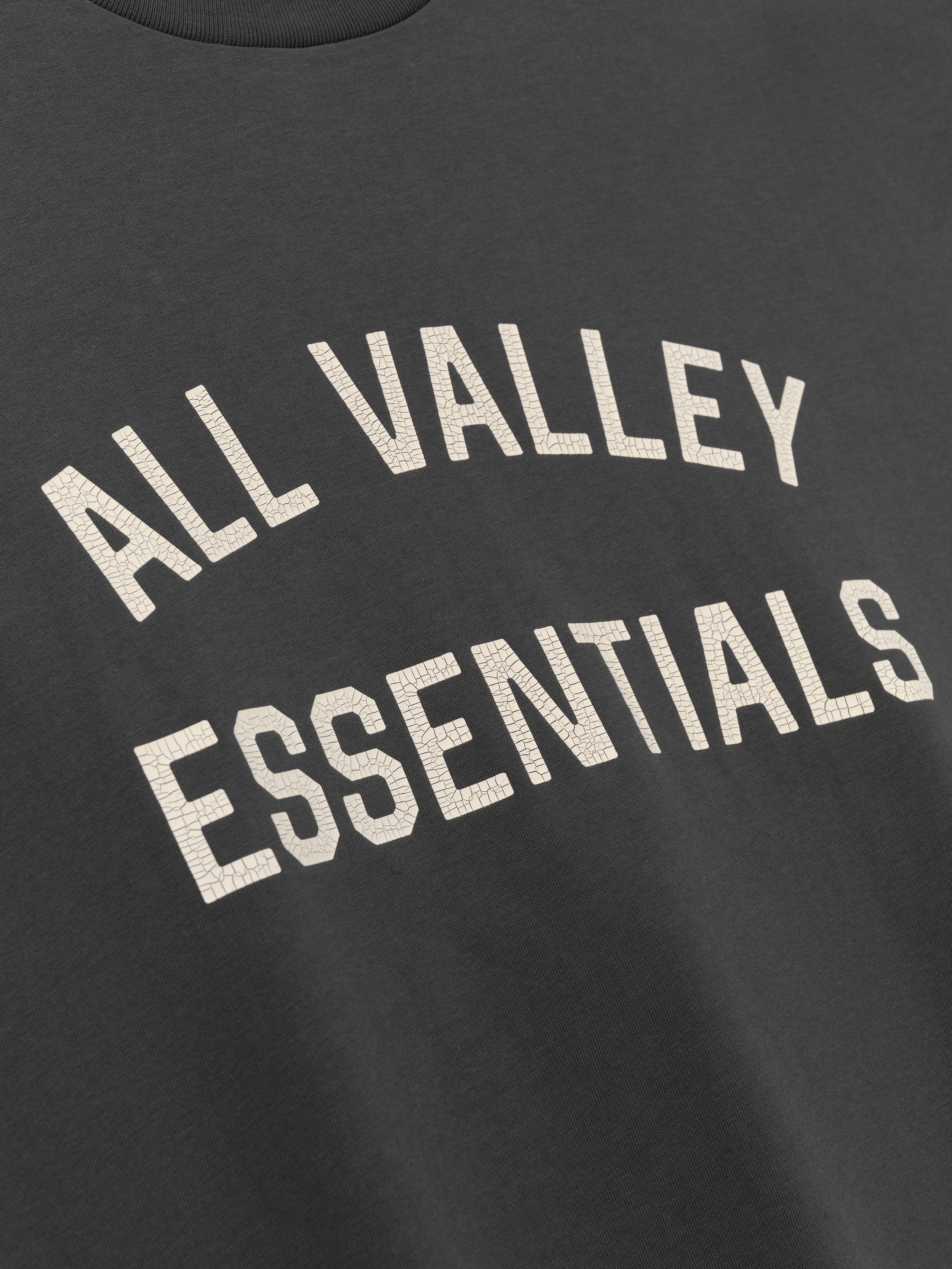 Merch Long Sleeve Tee in dark grey featuring cracked cream "ALL VALLEY ESSENTIALS" text printed on soft fabric for a comfortable casual top.